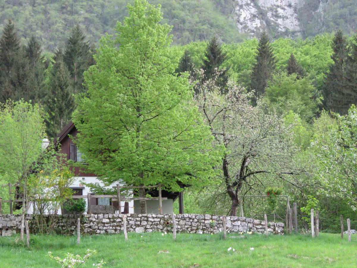 Villa Pocitniska Hiska Jager Cezsoca Exterior foto